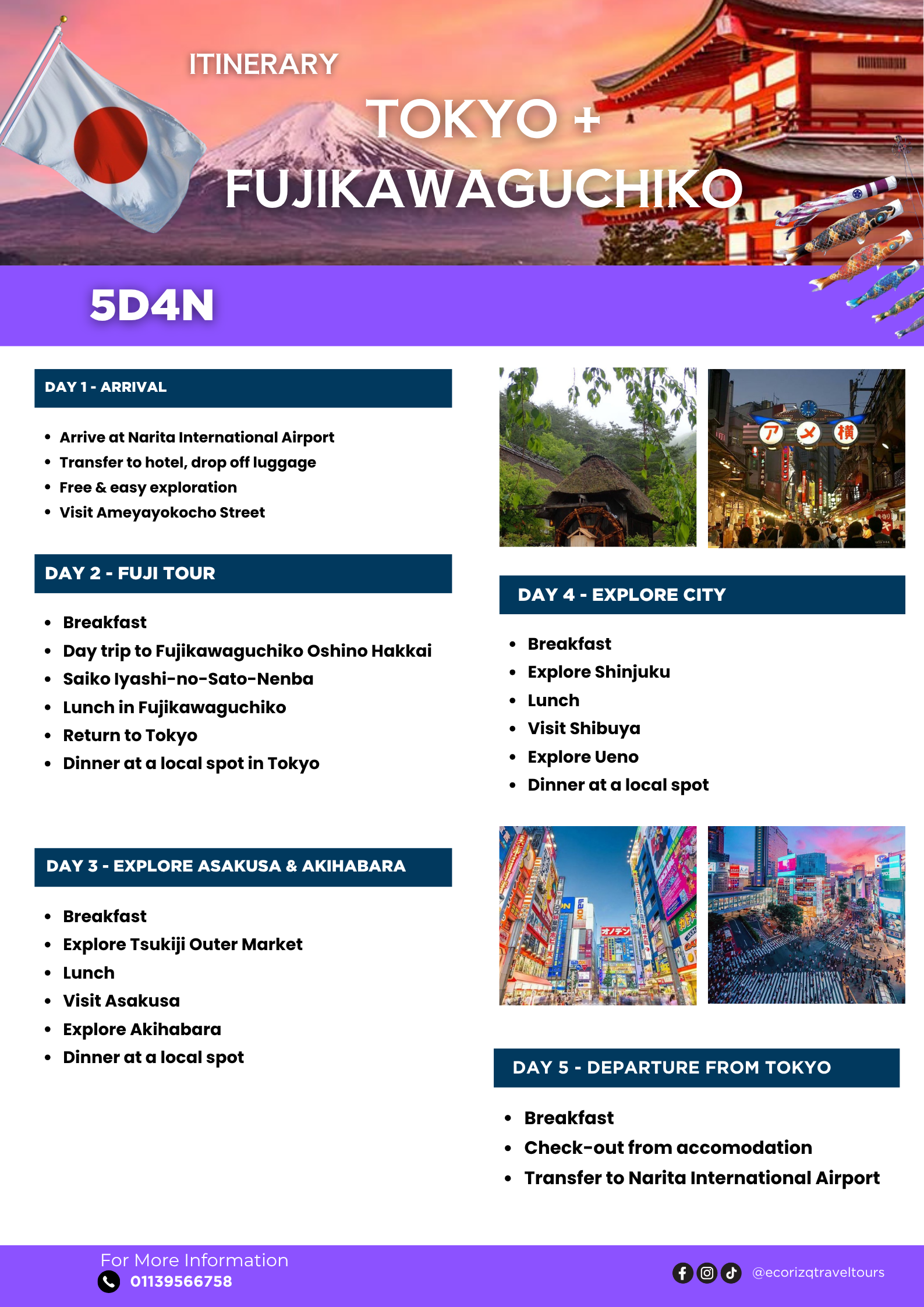 Tokyo + Fujikawaguchiko (5D4N) Itinerary